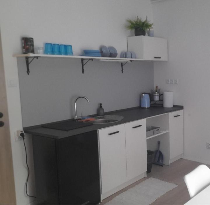 Apartman Centro Česká Lípa エクステリア 写真