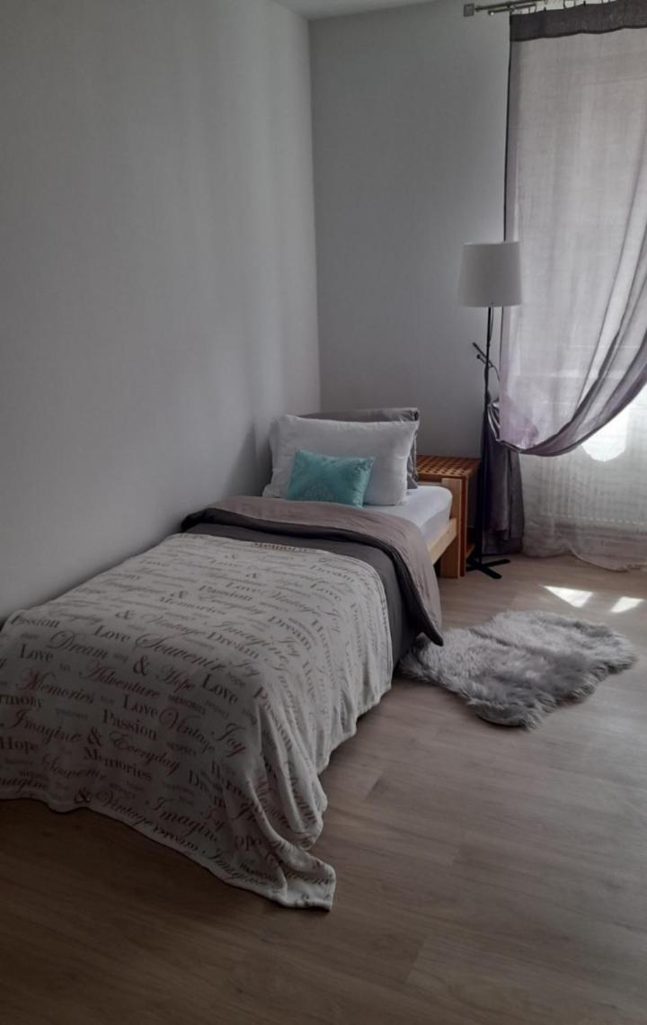 Apartman Centro Česká Lípa エクステリア 写真